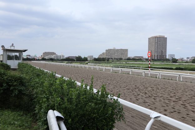 競馬の予想は七騎の会を利用しよう